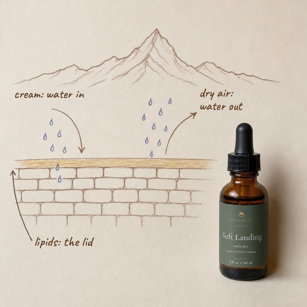 Hand-drawn diagram: cream brings water in, dry air pulls it out, and a layer of lipids acts as the lid, beside a bottle of Soft Landing
