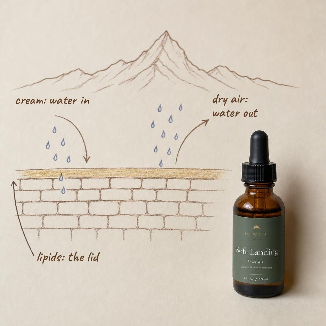 Hand-drawn diagram: cream brings water in, dry air pulls it out, and a layer of lipids acts as the lid, beside a bottle of Soft Landing